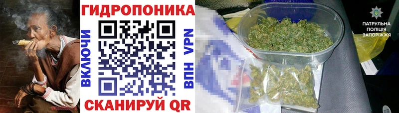 Купить закладку Белоозёрский Бошки Шишки MEGA рабочий сайт Alpha PVP Гашиш КОКАИН Мефедрон