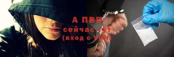 винт Богданович