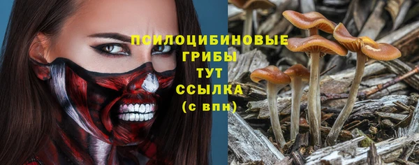 спиды Белокуриха