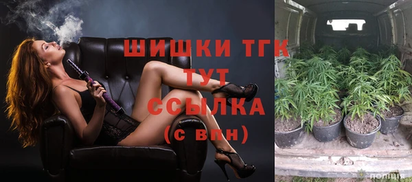 винт Богданович